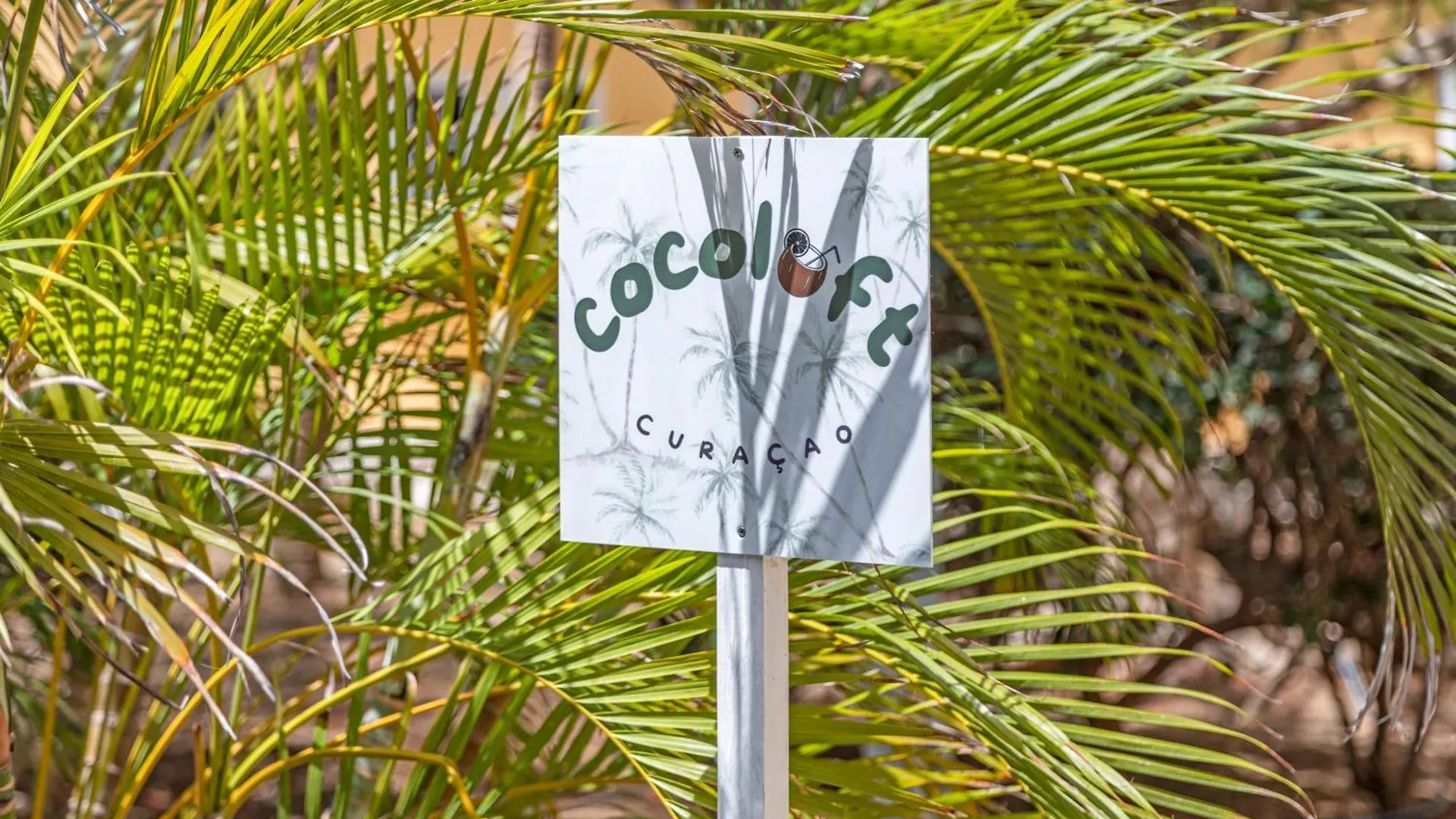 Cocoloft Curacao Apartment Jan Thiel Curacao